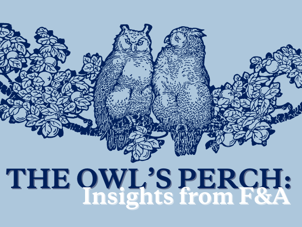 Owl Perch (1)